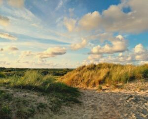 Dünen Borkum